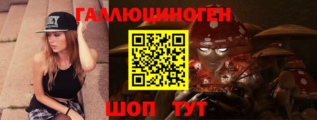 хочу наркоту  Вход с VPN  Бийск  Галлюциногенные грибы Magic Shrooms  Псилоцибиновые грибы MAGIC MUSHROOMS 